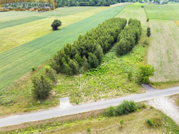 Działka Sprzedaż Holendry Baranowskie